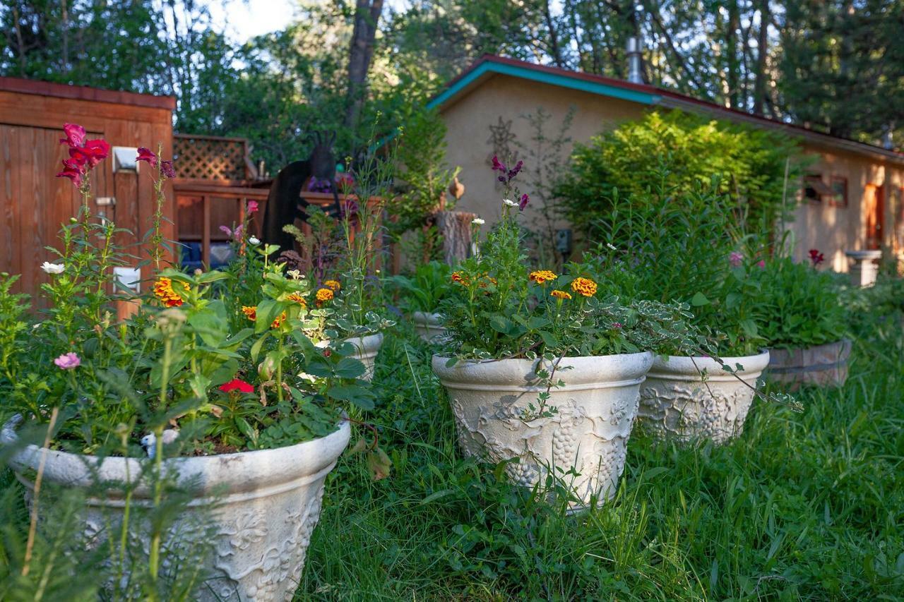 Dreamcatcher B&B Taos Exterior foto